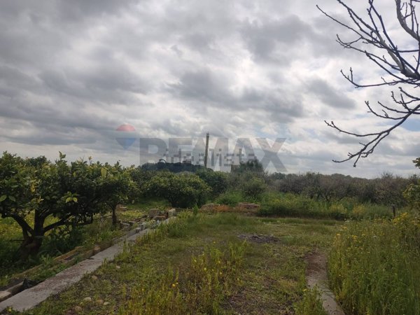 terreno agricolo in vendita a Belpasso