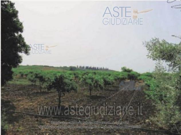 terreno agricolo in vendita a Belpasso