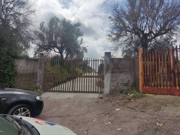 terreno agricolo in vendita a Belpasso