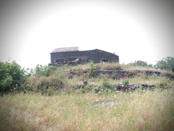 terreno agricolo in vendita a Belpasso