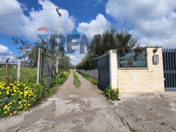terreno agricolo in vendita a Belpasso