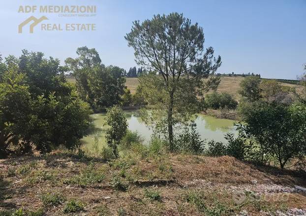 terreno agricolo in vendita a Belpasso