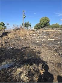 terreno agricolo in vendita a Belpasso
