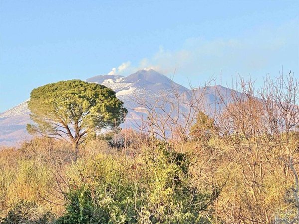terreno agricolo in vendita a Belpasso