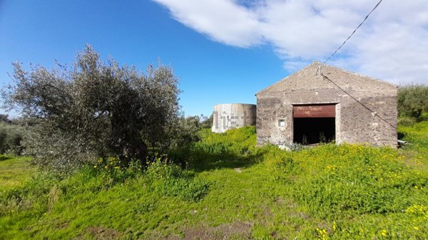 terreno agricolo in vendita a Belpasso