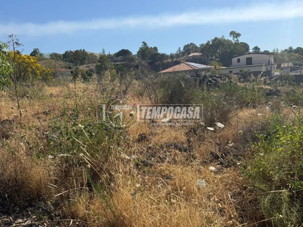 terreno agricolo in vendita a Belpasso