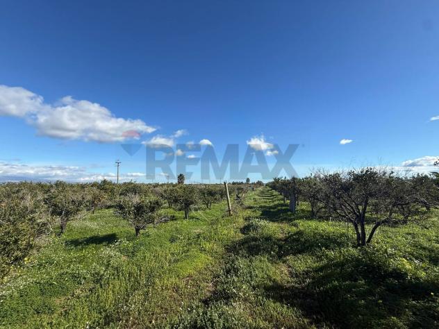 terreno agricolo in vendita a Belpasso