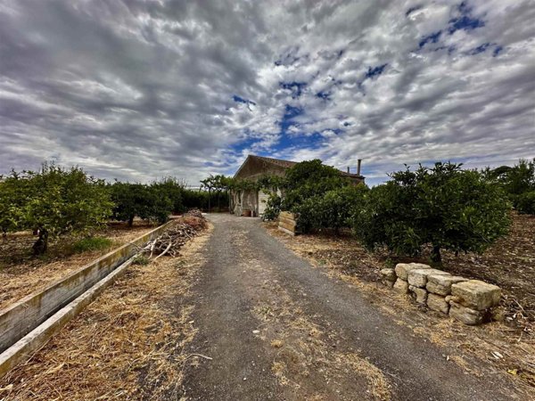 terreno agricolo in vendita a Belpasso