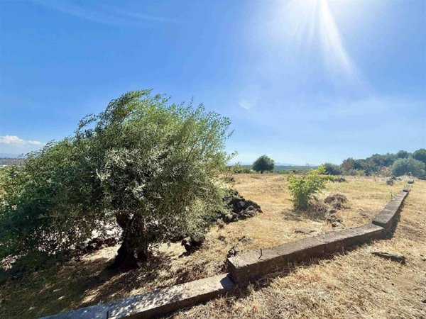 terreno agricolo in vendita a Belpasso in zona Piano Tavola