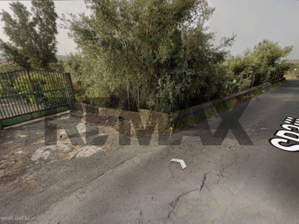 terreno agricolo in vendita a Belpasso