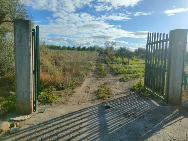terreno agricolo in vendita a Belpasso
