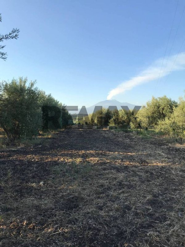 terreno agricolo in vendita a Belpasso