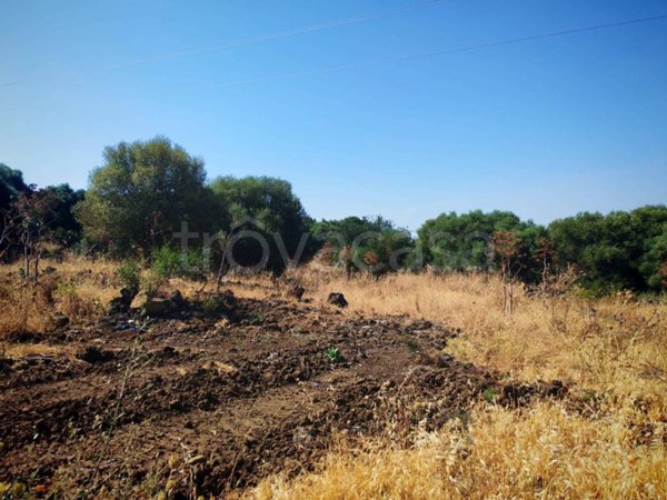 terreno agricolo in vendita a Belpasso in zona Piano Tavola