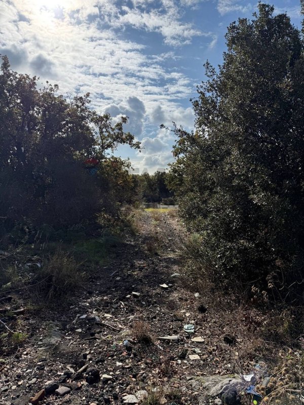 terreno agricolo in vendita a Belpasso
