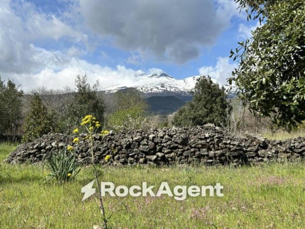 terreno agricolo in vendita a Belpasso