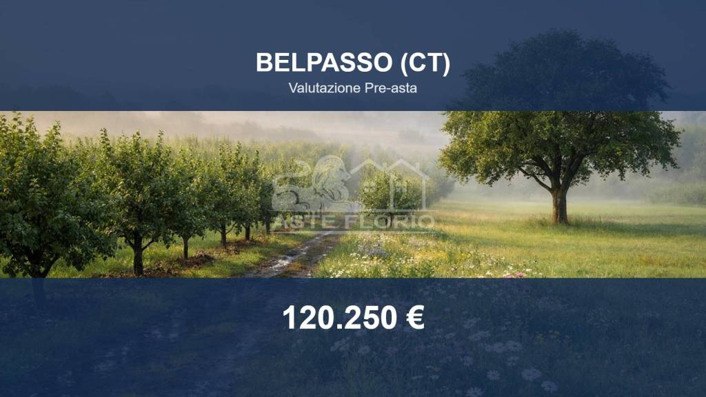 terreno agricolo in vendita a Belpasso