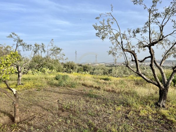 terreno agricolo in vendita a Belpasso