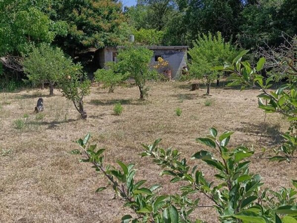 terreno agricolo in vendita a Belpasso