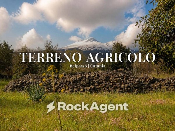 terreno agricolo in vendita a Belpasso