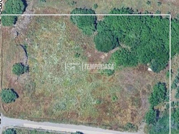 terreno agricolo in vendita a Belpasso