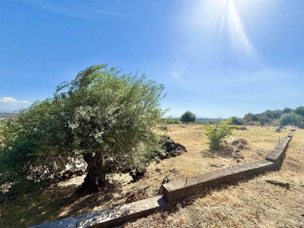 terreno agricolo in vendita a Belpasso