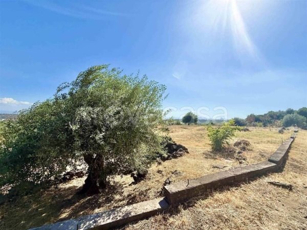 terreno agricolo in vendita a Belpasso