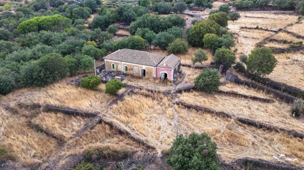 terreno agricolo in vendita a Belpasso