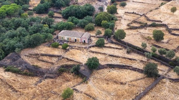 terreno agricolo in vendita a Belpasso
