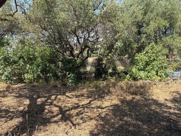 terreno agricolo in vendita a Belpasso