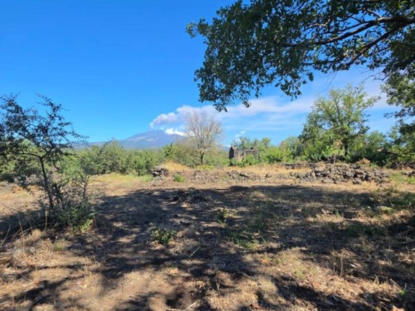 terreno agricolo in vendita a Belpasso