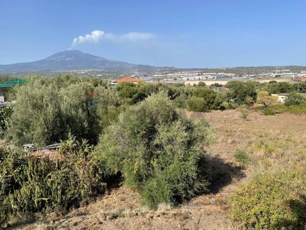 terreno in vendita a Belpasso in zona Piano Tavola