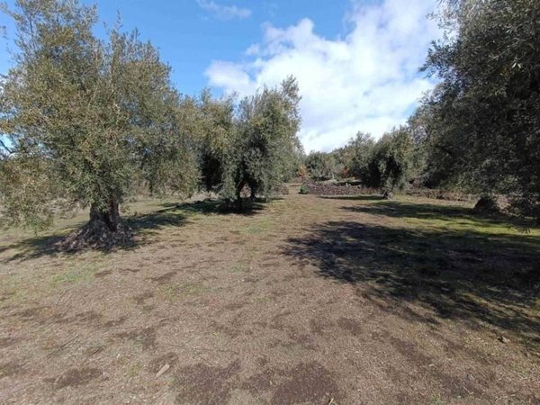 terreno in vendita a Belpasso