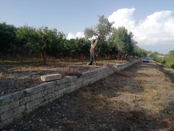 terreno in vendita a Belpasso