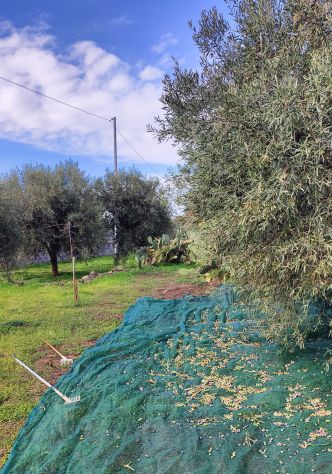 terreno in vendita a Belpasso