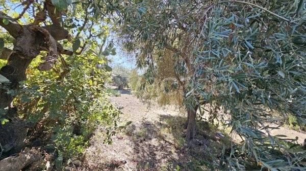 terreno in vendita a Belpasso