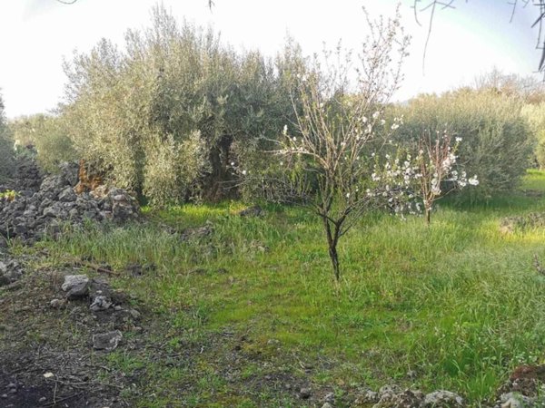 terreno in vendita a Belpasso