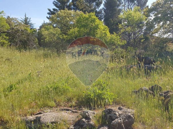 terreno agricolo in vendita a Biancavilla