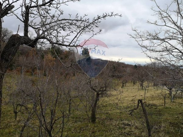 terreno agricolo in vendita a Biancavilla