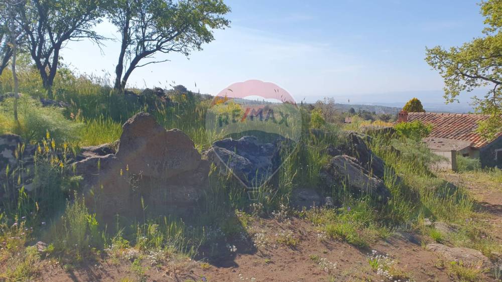 terreno agricolo in vendita a Biancavilla