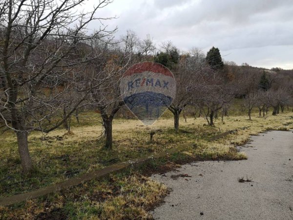 terreno agricolo in vendita a Biancavilla