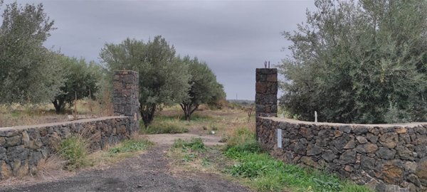 appartamento in vendita a Biancavilla