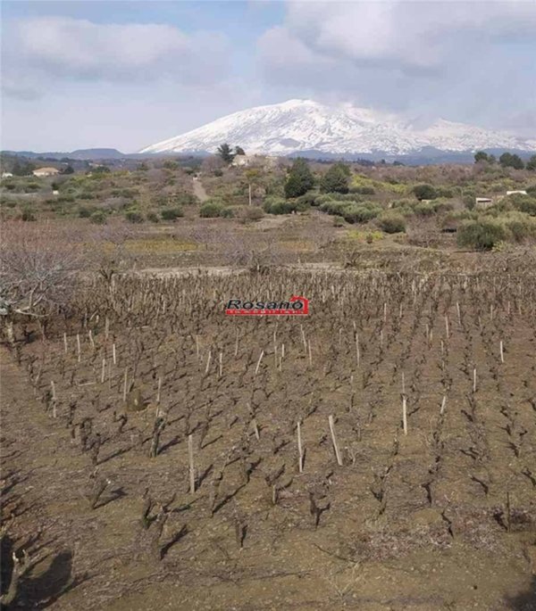 terreno agricolo in vendita a Biancavilla