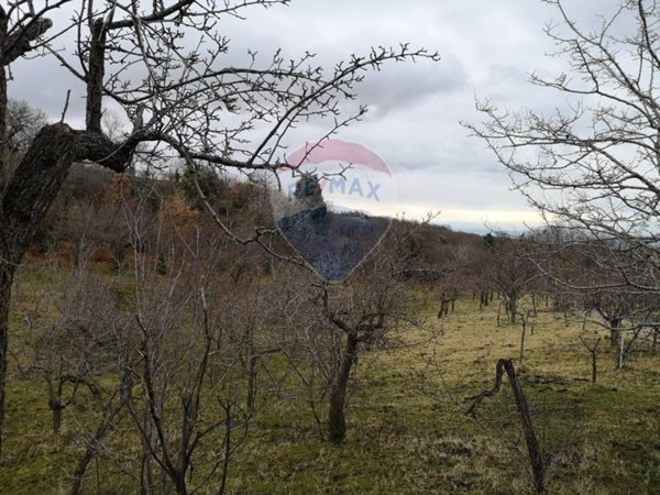 terreno agricolo in vendita a Biancavilla