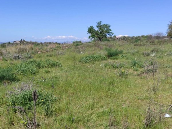 terreno agricolo in vendita a Biancavilla