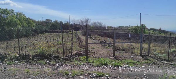 immagine annuncio 0 di 1