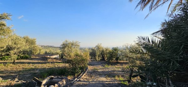 terreno agricolo in vendita a Biancavilla