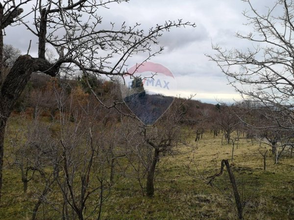 terreno agricolo in vendita a Biancavilla
