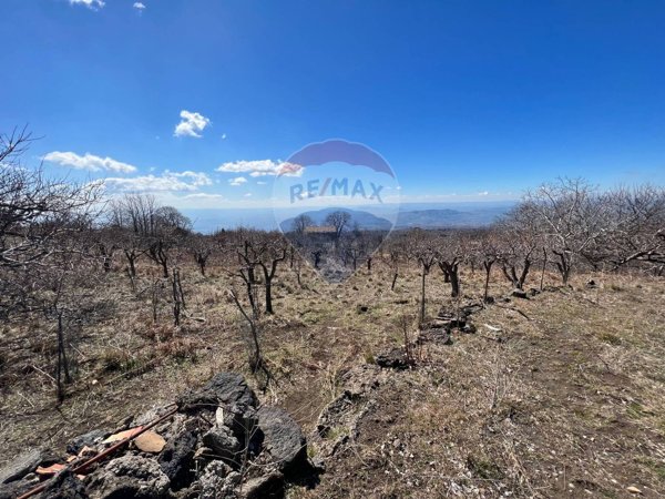 rudere in vendita a Biancavilla