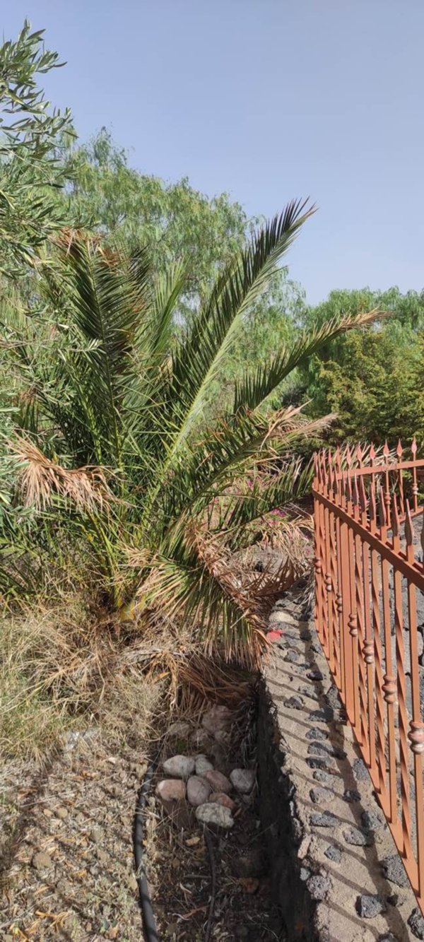 casa indipendente in vendita a Biancavilla