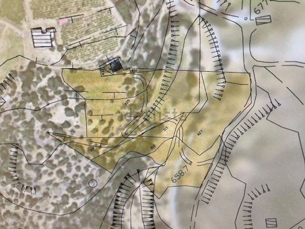 terreno agricolo in vendita a Biancavilla